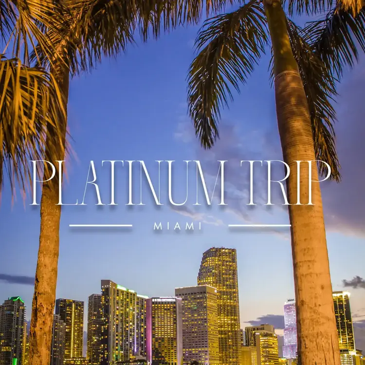 image of Platinum Trip Ticket